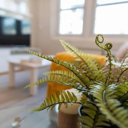 Urzaiz Centro Apartamento